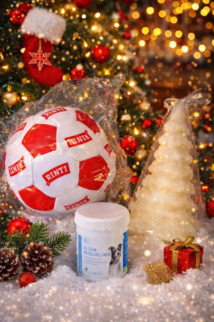 Adventkalender-Gewinnspiel mit Hundepaket & LED Kerze Adventkalender-Gewinnspiel mit Hundepaket & LED Kerze