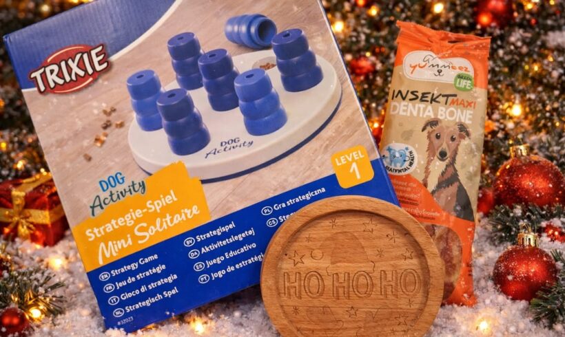Adventkalender-Gewinnspiel mit Hundepaket und Holzroller