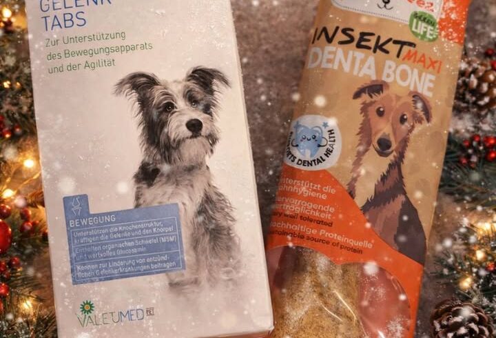 Adventkalender-Gewinnspiel mit Hund- und Katzenpaketen