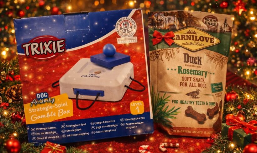 Adventkalender-Gewinnspiel mit Hund- und Nagerpaket