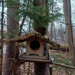 Spenden ermöglichen regelmäßiges Dinner für Pipmatze und Eichhörnchen