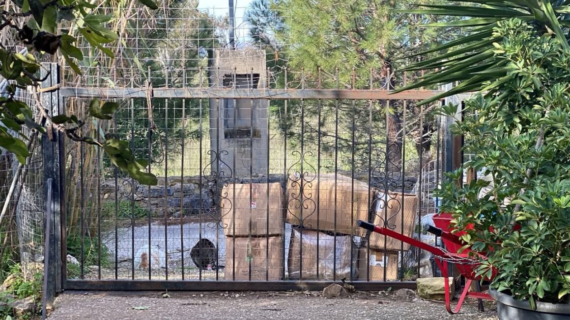 Spenden für Hunde und Katzen auf Kreta angekommen