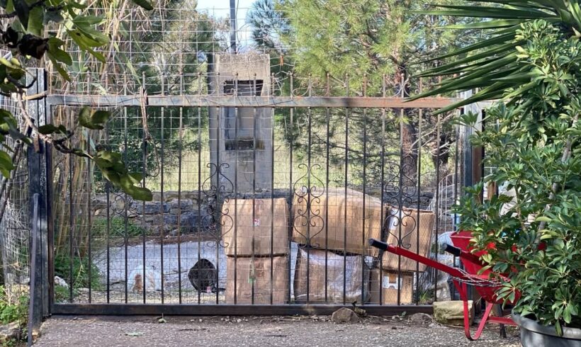 Spenden für Hunde und Katzen auf Kreta angekommen