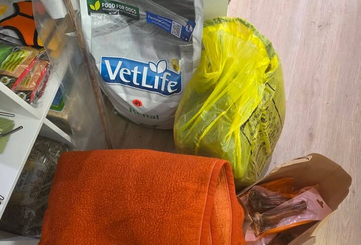 Spende mit Futter und Zubehör für Hunde und Katzen Spende mit Futter und Zubehör für Hunde und Katzen