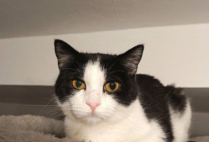 Franzi hat die Fip-Therapie beendet