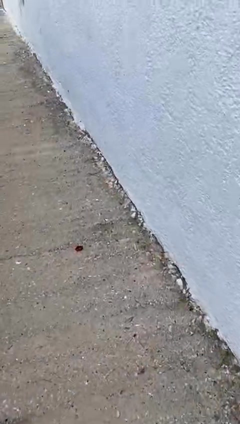 Erster Einblick in Sarahs neues Zuhause mit Tieren Erster Einblick in Sarahs neues Zuhause mit Tieren