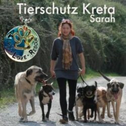 Sarah zieht sich zurück – Tierschutz Libelle übernimmt Updates Sarah zieht sich zurück – Tierschutz Libelle übernimmt Updates