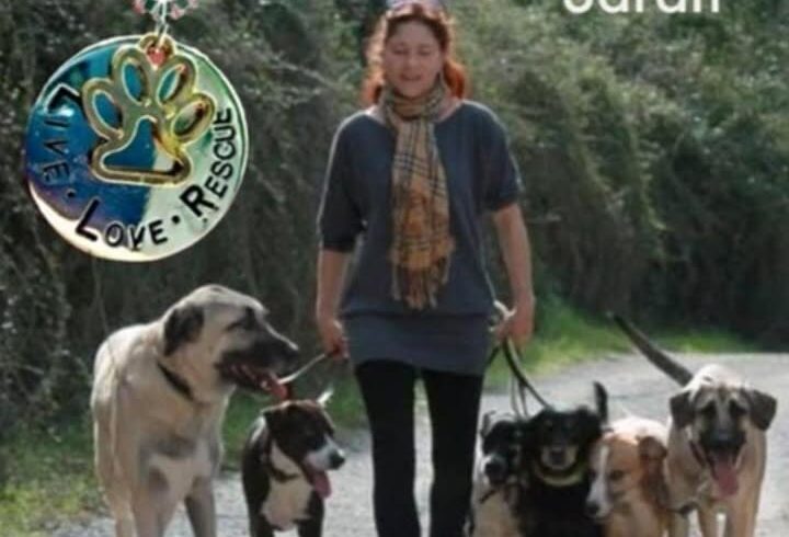 Sarah zieht sich zurück – Tierschutz Libelle übernimmt Updates Sarah zieht sich zurück – Tierschutz Libelle übernimmt Updates