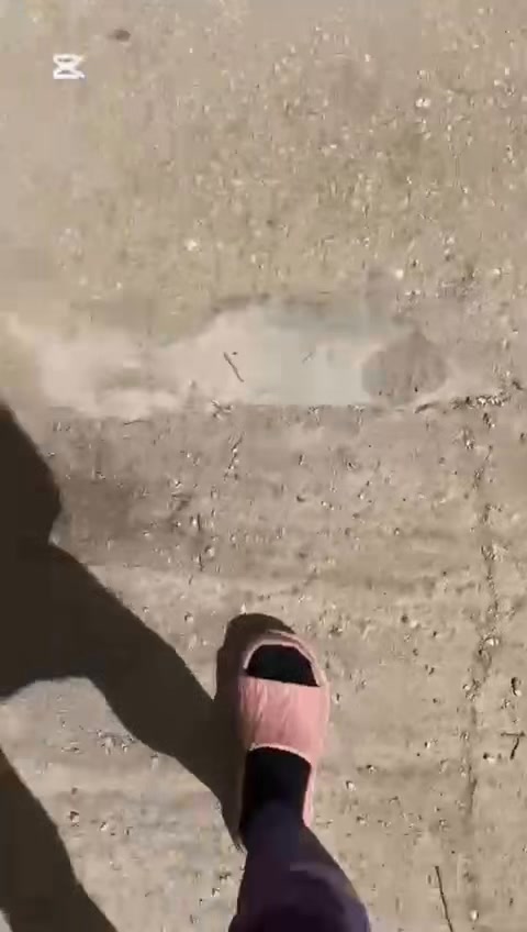 Hundetraining mit Oscar und neuem Hund Hundetraining mit Oscar und neuem Hund