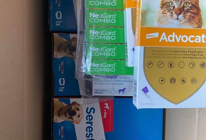 Spendenaufruf für Parasitenschutz bei Hunden und Katzen auf Kreta Spendenaufruf für Parasitenschutz bei Hunden und Katzen auf Kreta