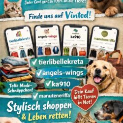 Secondhand kaufen und Tiere auf Kreta unterstützen