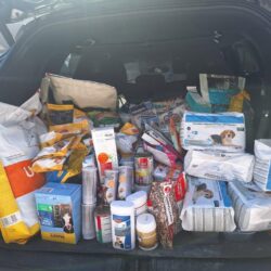 Dank an Fressnapf Telfs für Unterstützung der Hunde und Katzen