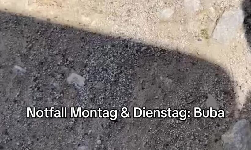 Tierschutz Libelle berichtet über Notfälle und Unterstützung Tierschutz Libelle berichtet über Notfälle und Unterstützung