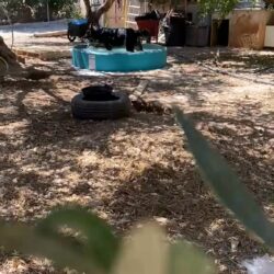 Hundepool auf Kreta sorgt für Erfrischung und Freude