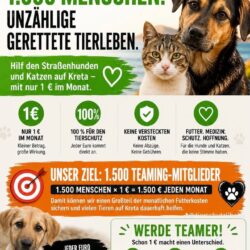 Tierschutz Kreta unterstützt Hunde und Katzen