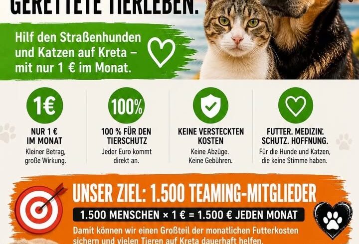 Tierschutz Kreta unterstützt Hunde und Katzen