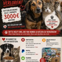 Spendenaufruf für Hunde und Katzen auf Kreta Spendenaufruf für Hunde und Katzen auf Kreta