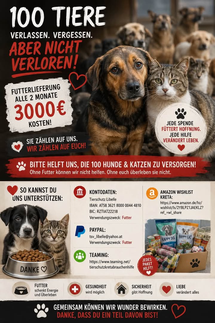 Spendenaufruf für Hunde und Katzen auf Kreta Spendenaufruf für Hunde und Katzen auf Kreta