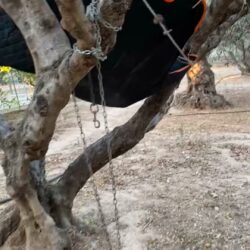 Katzenprojekt Kreta sucht Unterstützung für sicheren Auslauf